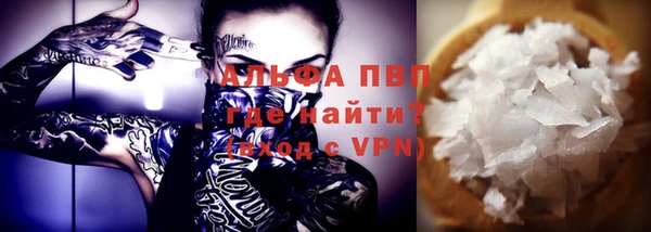 стаф Коряжма