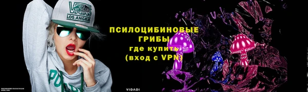 стаф Коряжма