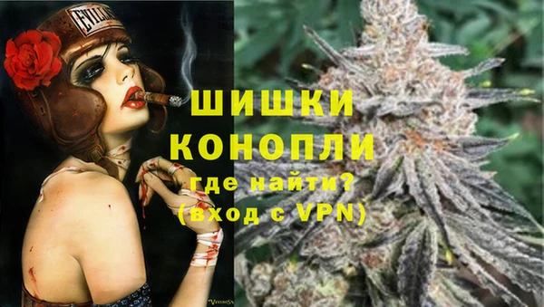 стаф Коряжма