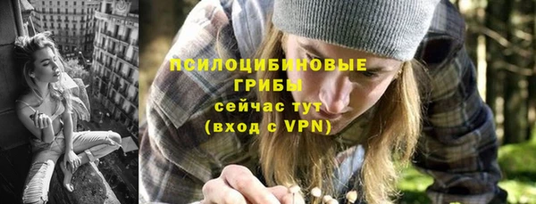 сатива Кущёвская