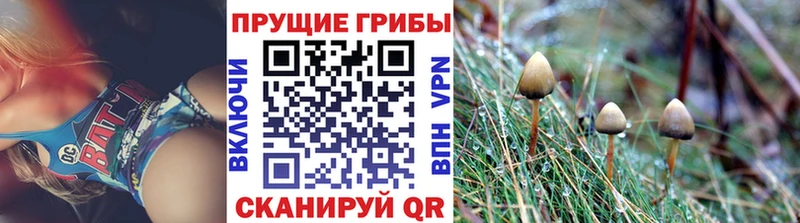Галлюциногенные грибы мицелий Киров