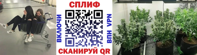 Бошки Шишки THC 21% Киров